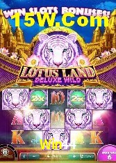 Recursos de Bônus Win44